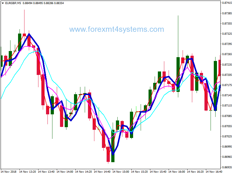 Live signal forex and binary