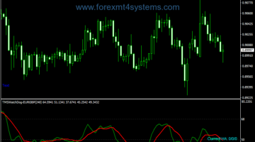 Forex TMS Watch Dog Indicator