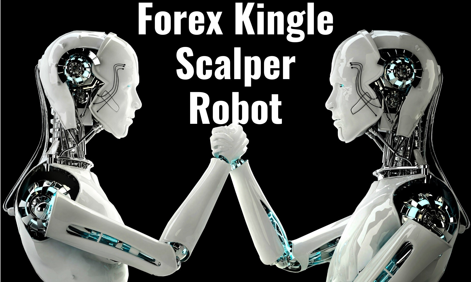 Forex-Kingle-Scalper-Robot