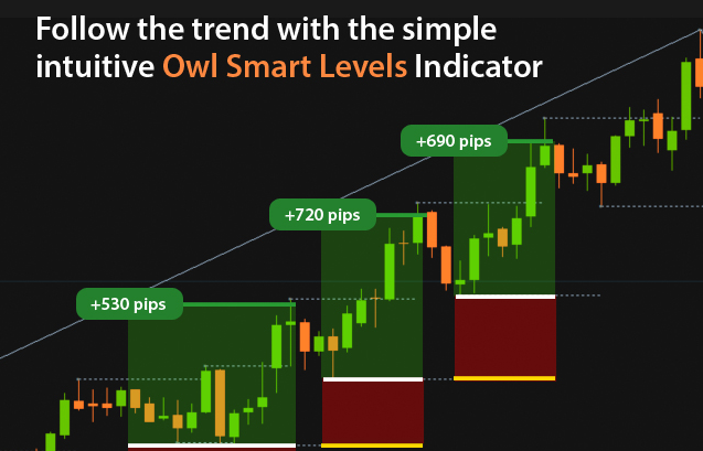 Owl smart levels indicator