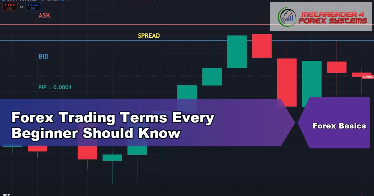 forex trading terms - Forex Trading Terms Every Beginner Should Know featured image