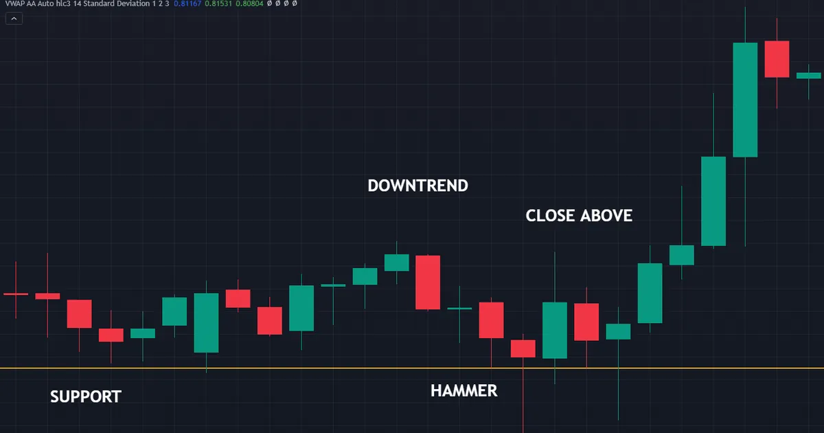 hammer dipping under a marked support line after a short slide, then closing back above it