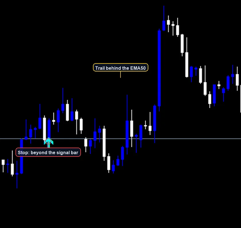 MACD Trend Following Strategy exit and stop placement example
