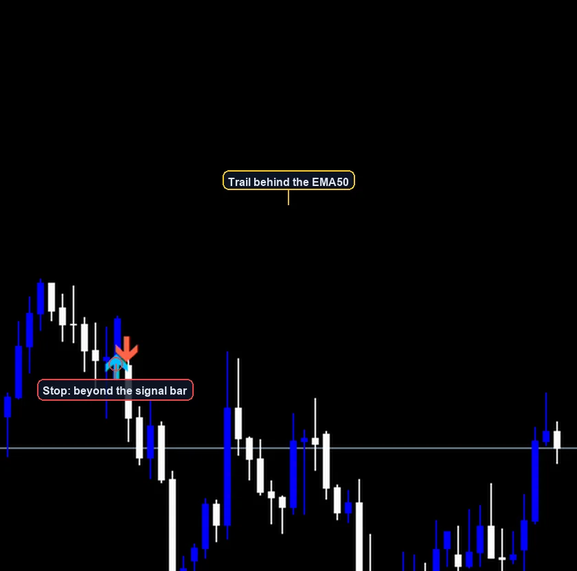 MACD Trend Following Strategy exit and stop placement example