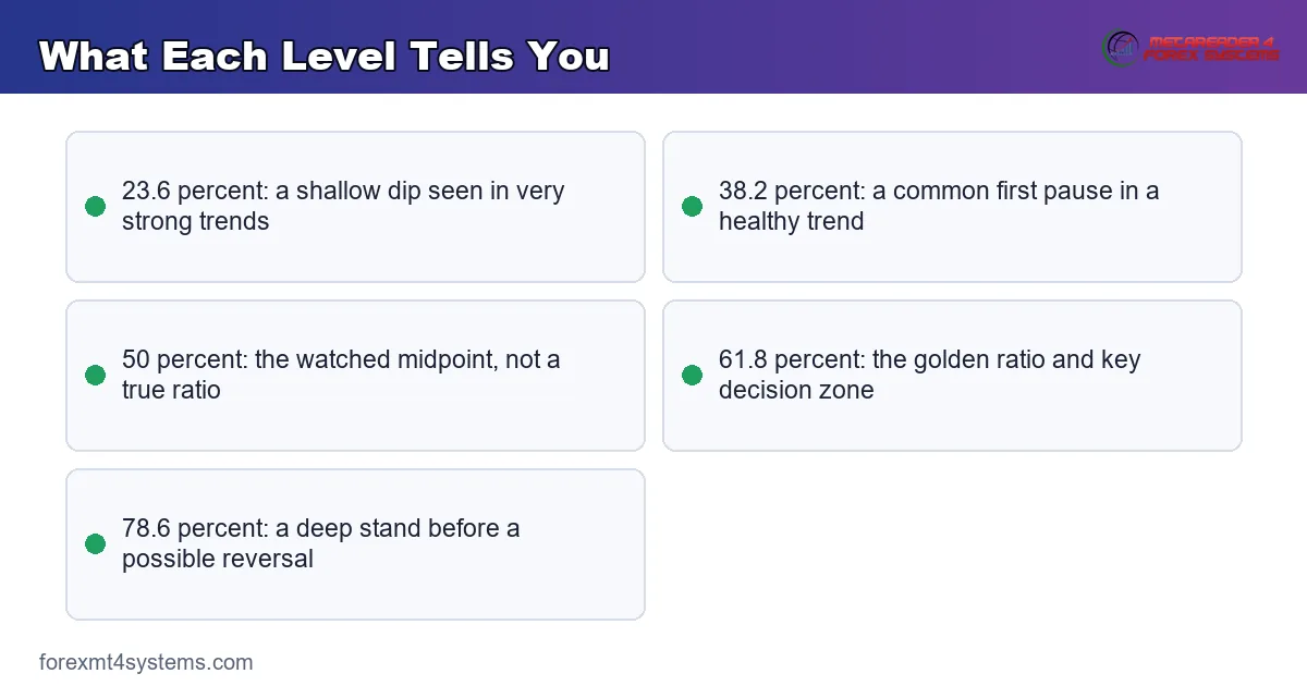 What Each Level Tells You - key points reference card