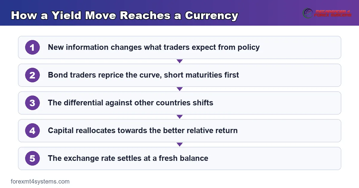 flow diagram tracing how a yield move reaches a currency through rate expectations and capital flows