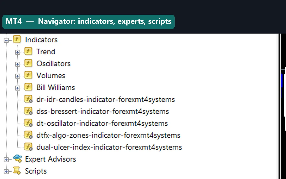 The MT4 Navigator listing indicators, experts and scripts