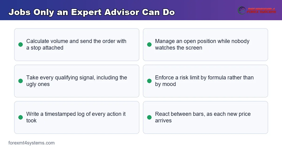 keypoints diagram listing the jobs only an expert advisor can do inside a trading terminal