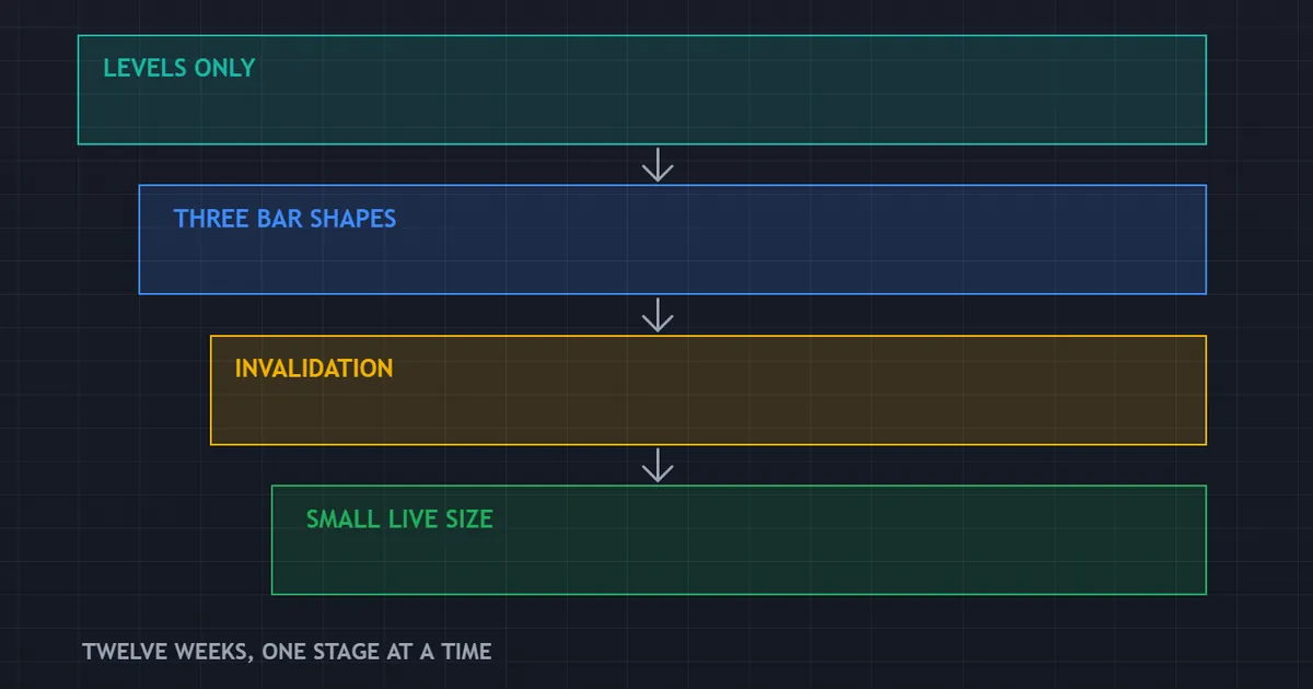 study path panel laying out twelve weeks of practice from levels only through to small live size