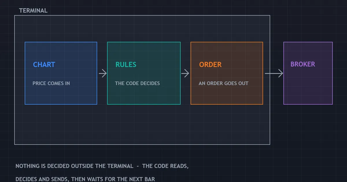 what is an expert advisor - panel showing the chart, the rule code and the broker link