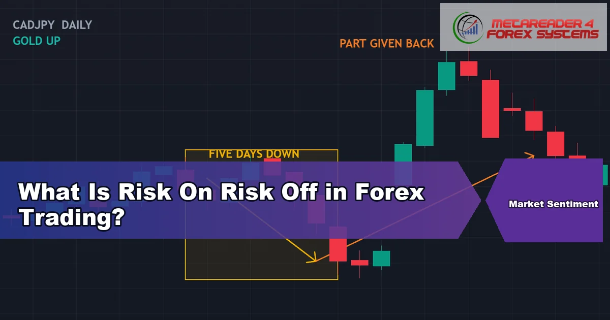 what is risk on risk off - What Is Risk On Risk Off in Forex Trading? featured image
