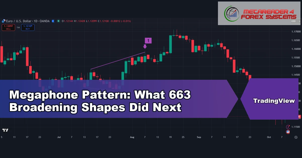 megaphone pattern - Megaphone Pattern: What 663 Broadening Shapes Did Next
