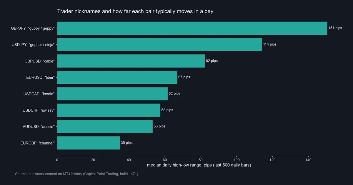 Bar chart of trading slang pair nicknames ranked by median daily range in pips, from guppy at 151 pips to chunnel at 35 pips