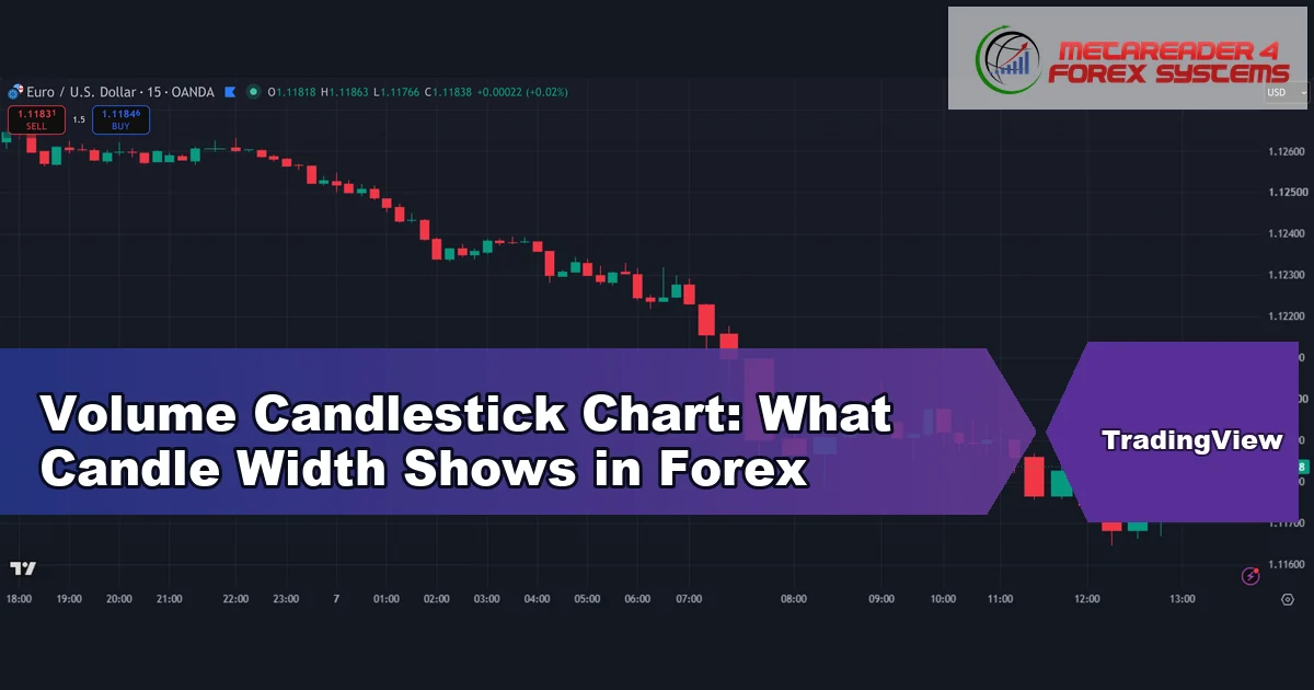 volume candlestick chart - Volume Candlestick Chart: What Candle Width Shows in Forex