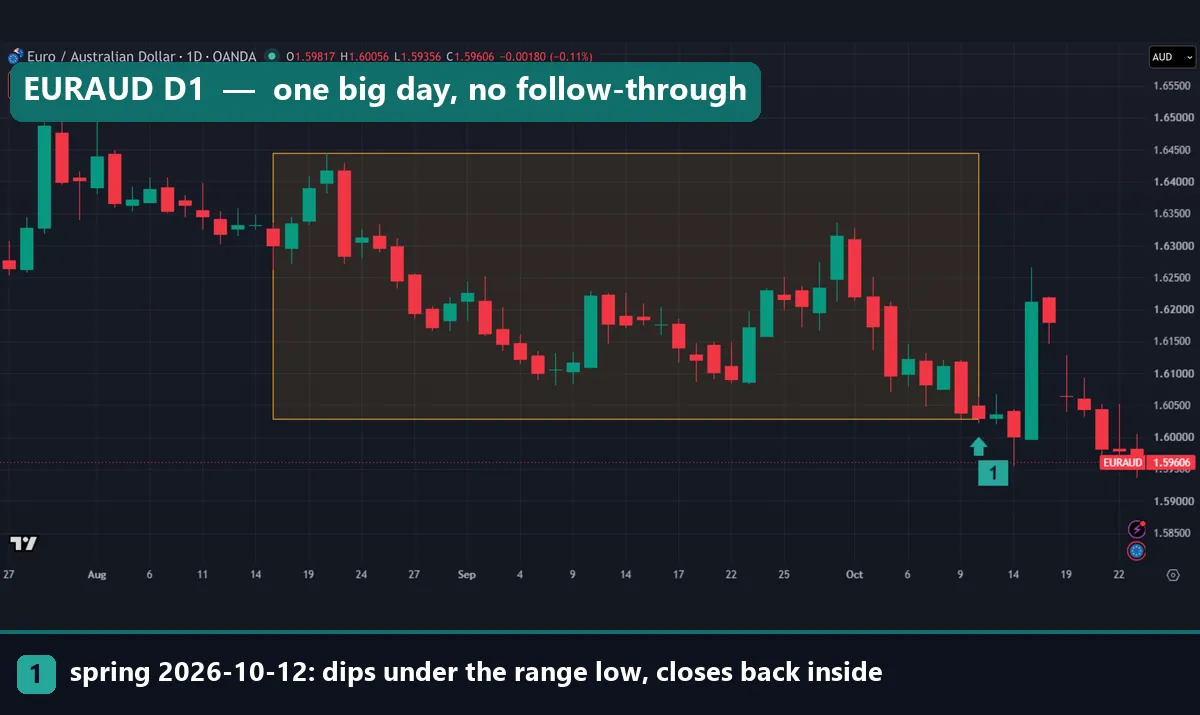 EURAUD daily chart with a range from 1.6028 to 1.64452 and a spring on 12 October 2026 that failed after one big green day
